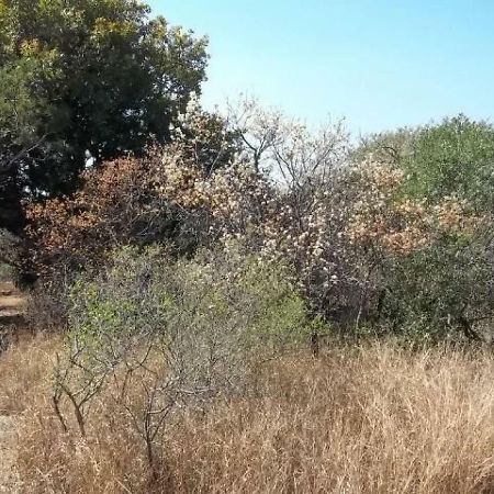 הודספרויט Aloes Bush Stay מראה חיצוני תמונה