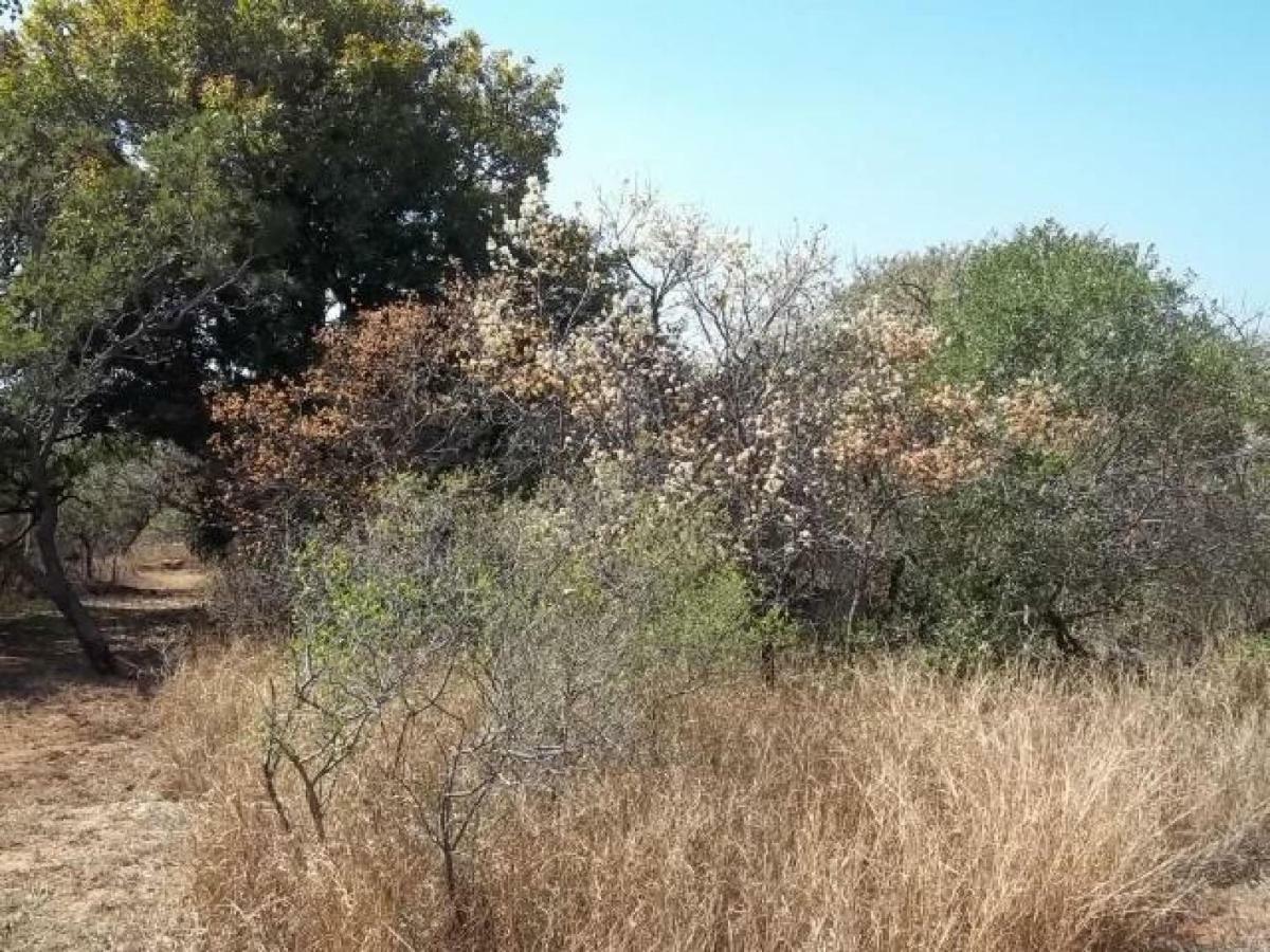 הודספרויט Aloes Bush Stay מראה חיצוני תמונה